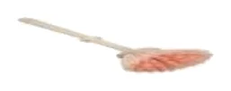WC Fırçası (Plastik için)