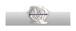 Islak Mop Dar Battal ( Kaskam ) 400 gr