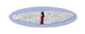 Islak Mop Geniş Battal ( Kaskam ) 400 gr